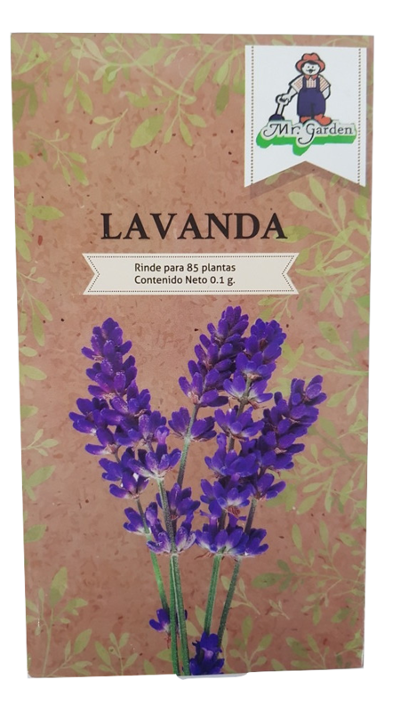 Semilla Lavanda