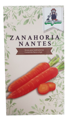 Semilla Zanahoria Nantes