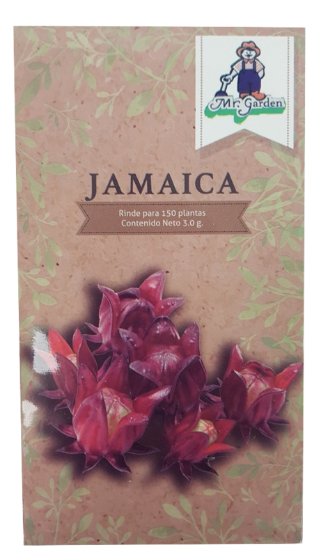 Semilla Jamaica