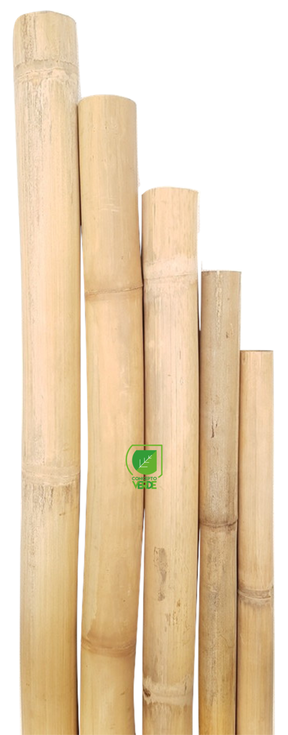 Bambú Seco Natural, TIPO: Lijado
