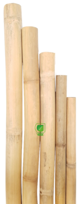 Bambú Seco Natural