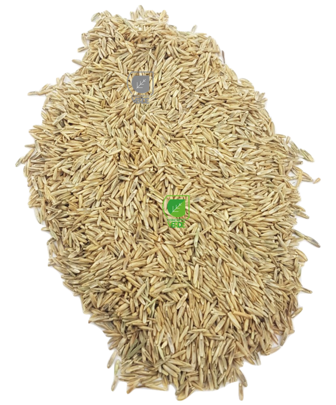 Semilla Pasto Golf 500g
