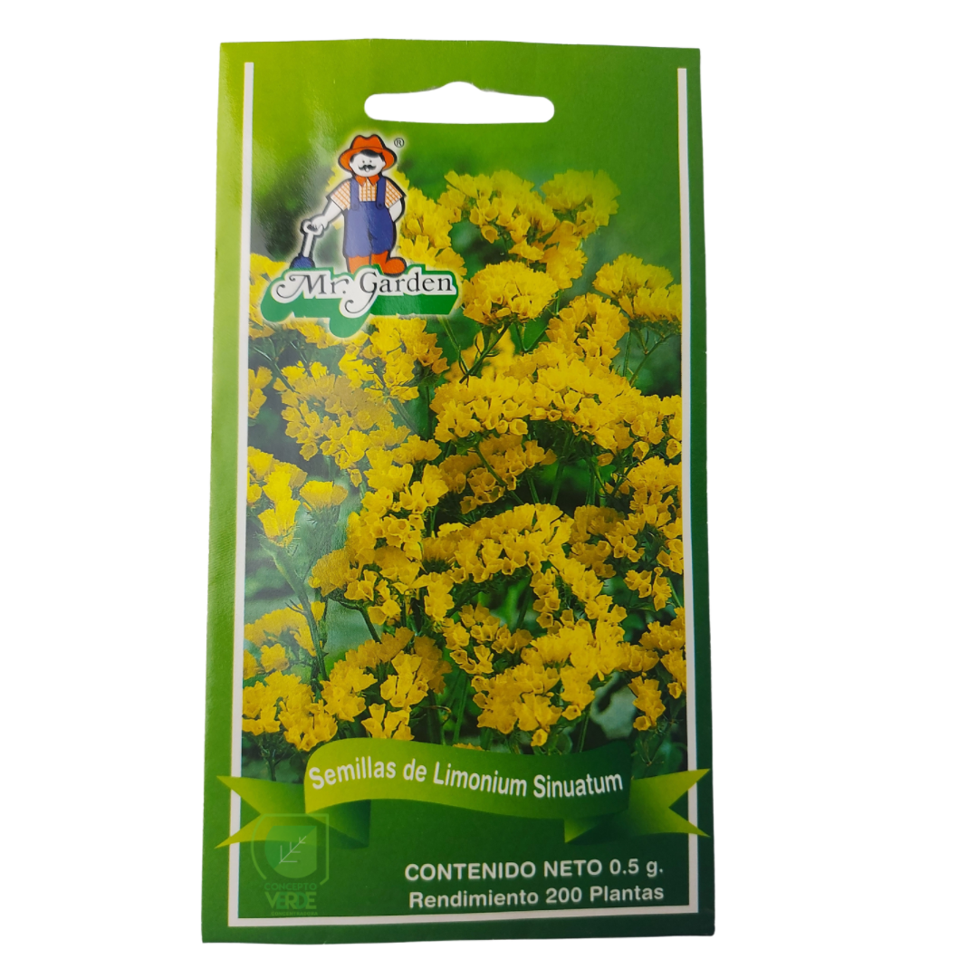 Semilla De Limonium Sinuatum