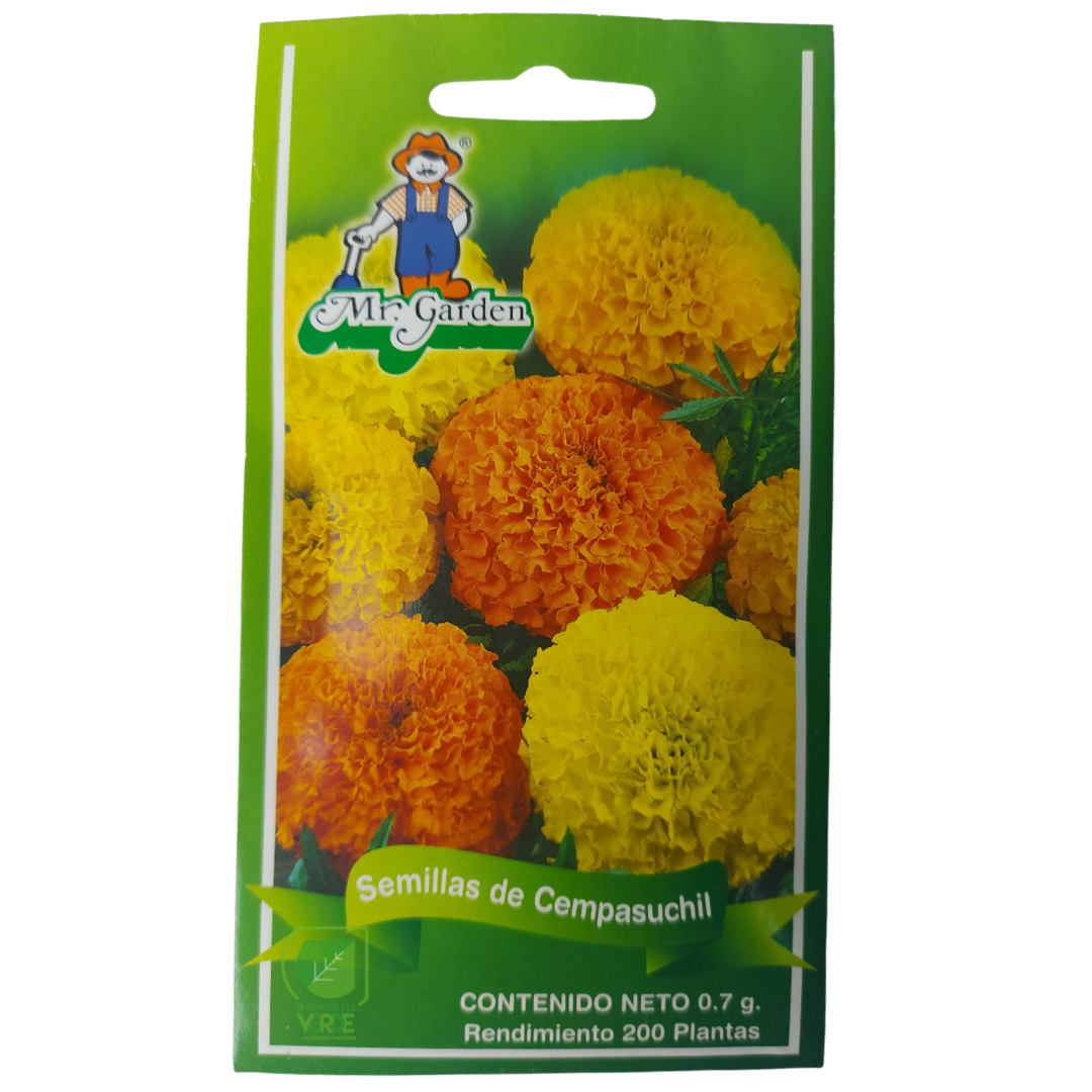 Semilla Cempasúchil