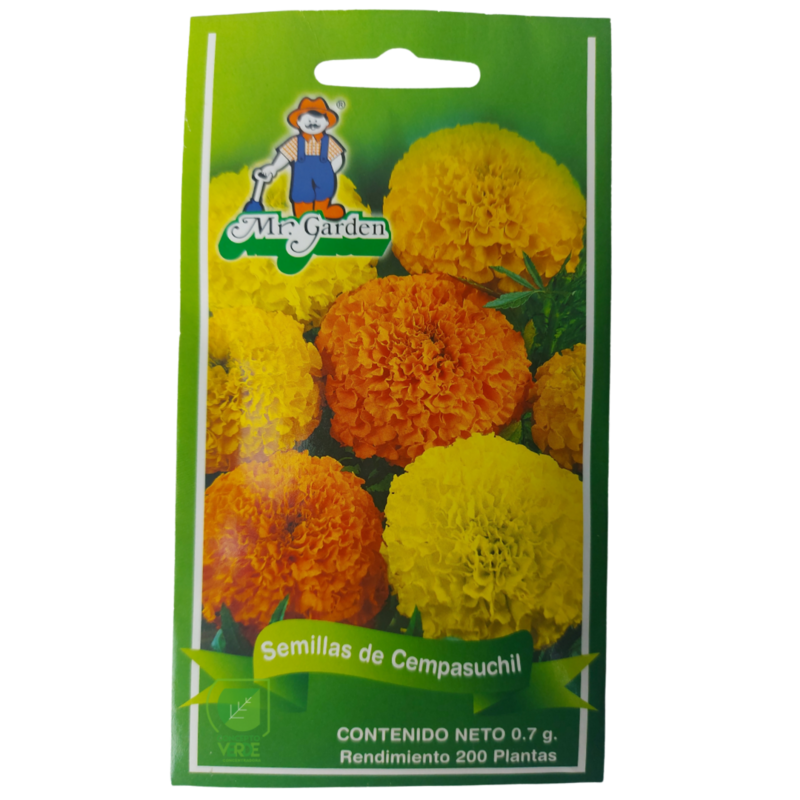 Semilla Cempasúchil