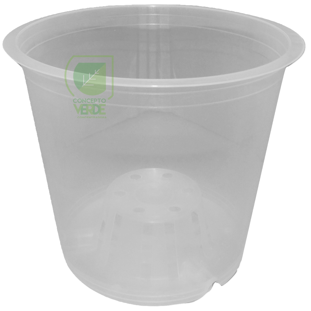 Maceta Transparente 6&quot;