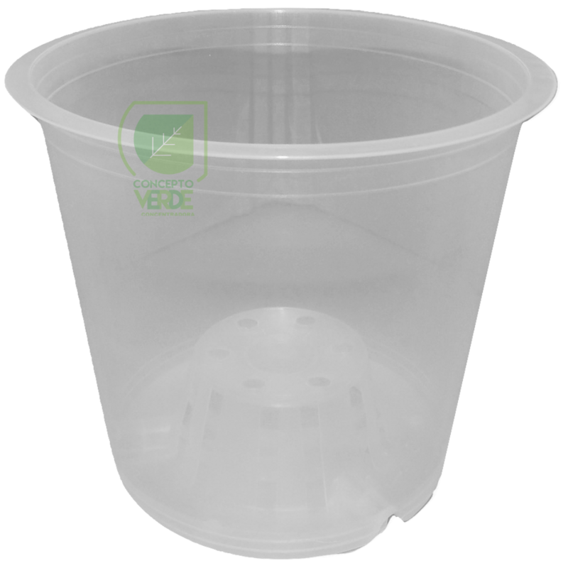 Maceta Transparente 6&quot;