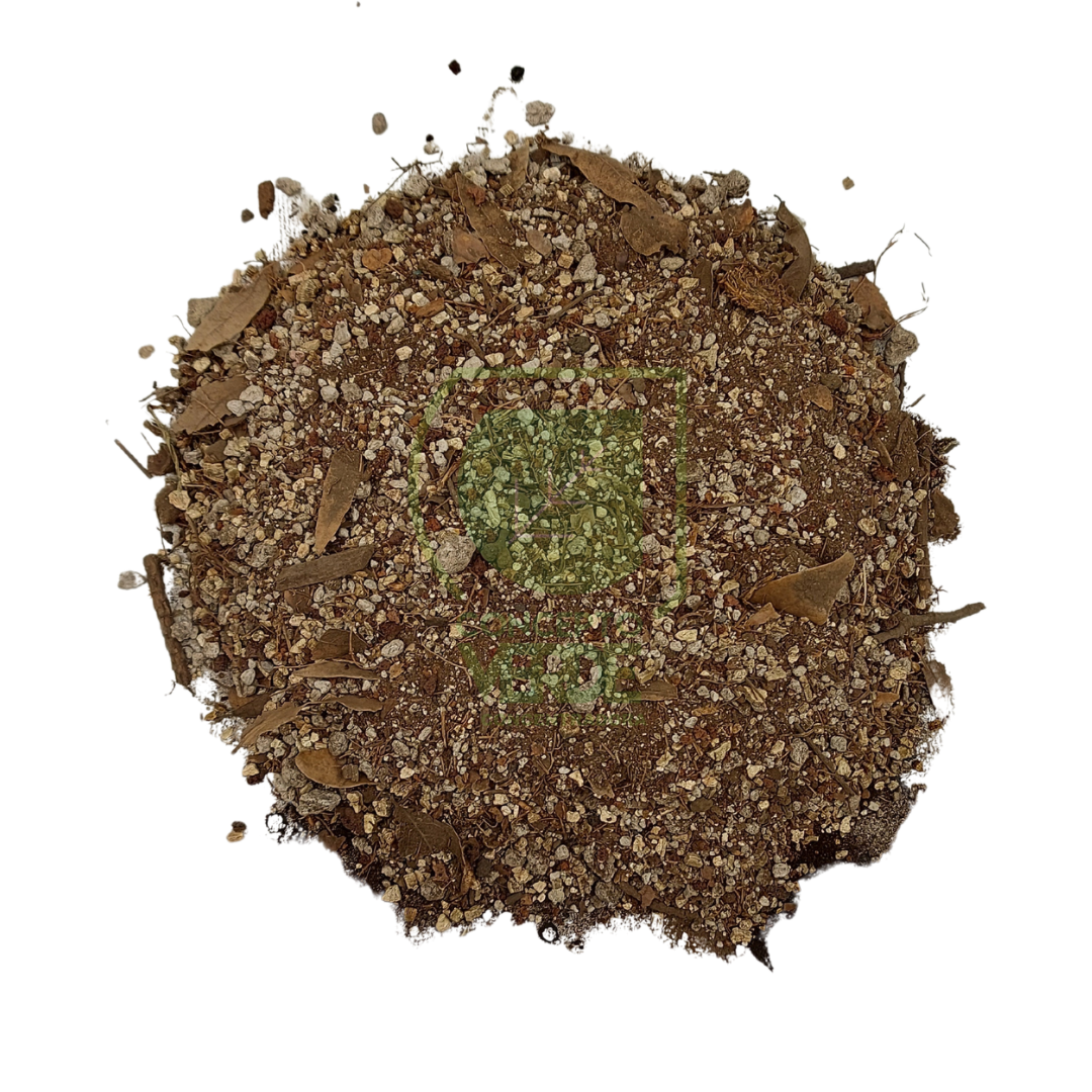 Tierra De Cactus 20Kg