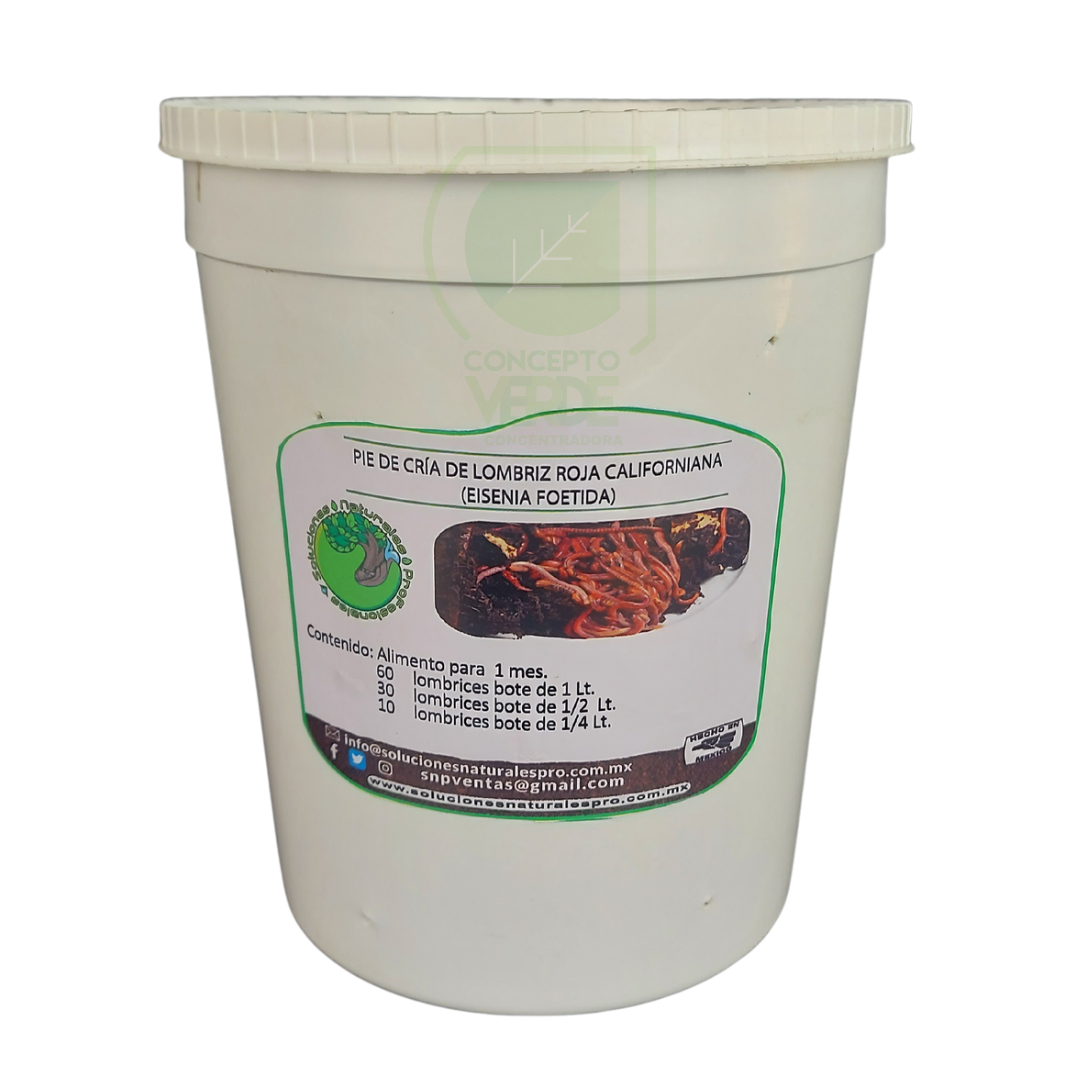 Pie De Cría Lombriz Californiana 1L