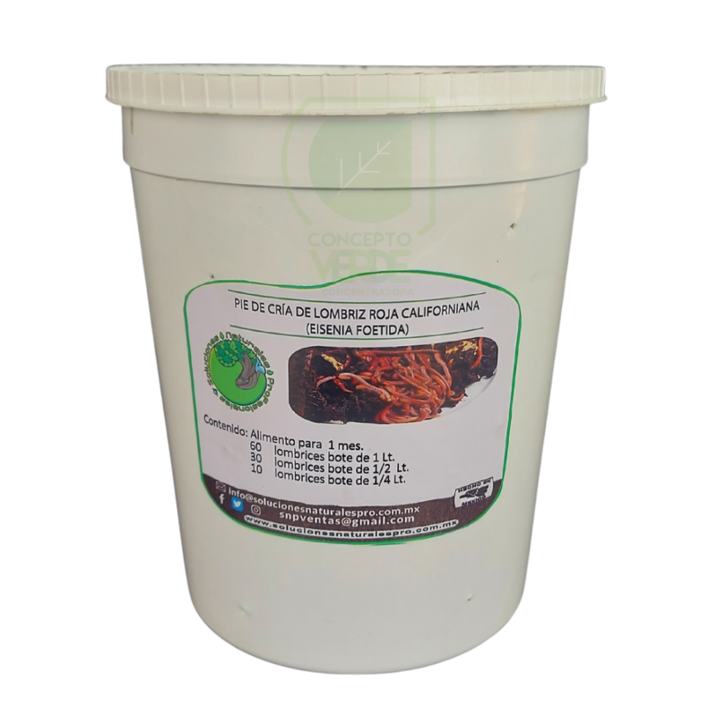 Pie De Cría Lombriz Californiana 1L
