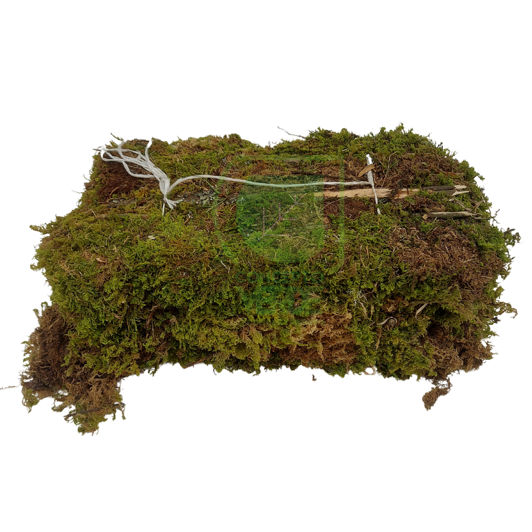 Musgo Natural (1m²)