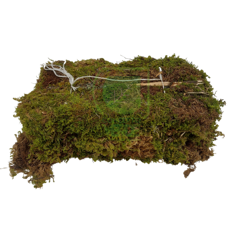 Musgo Natural (1m²)
