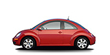 Beetle