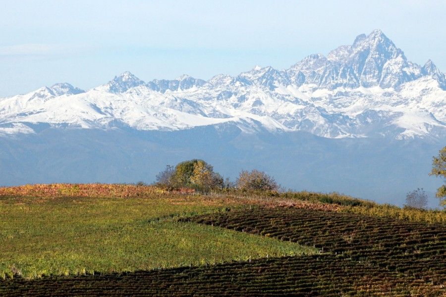 Barolo &amp; Truffle Wine Dinner with G.D. Vajra, Luigi Baudana, and Old World Truffles