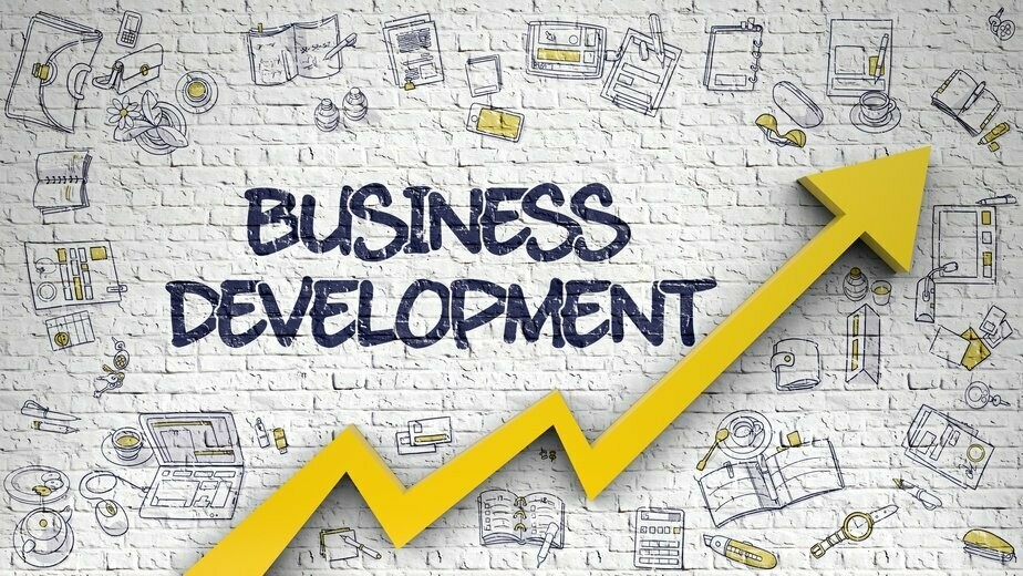 Business  Development  &amp; LinkedIN Guidance Services