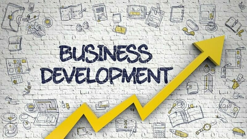 Business  Development  &amp; LinkedIN Guidance Services