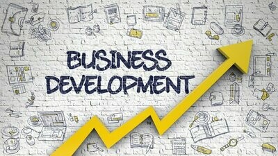 Business  Development  &amp; LinkedIN Guidance Services