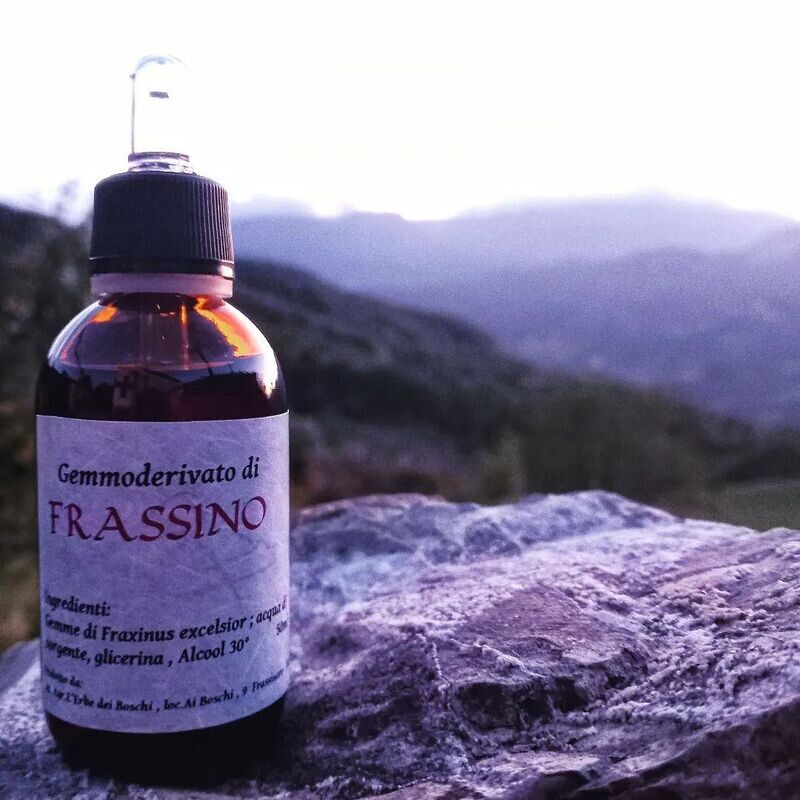 ​Gemmoderivato di Frassino