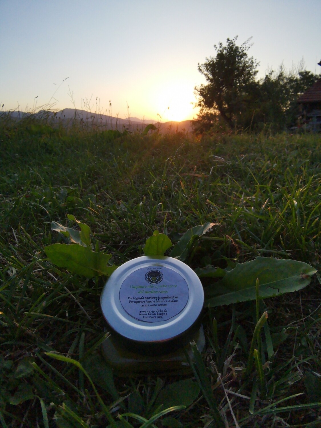 Unguento alle 13 erbe sacre  del Mediterraneo