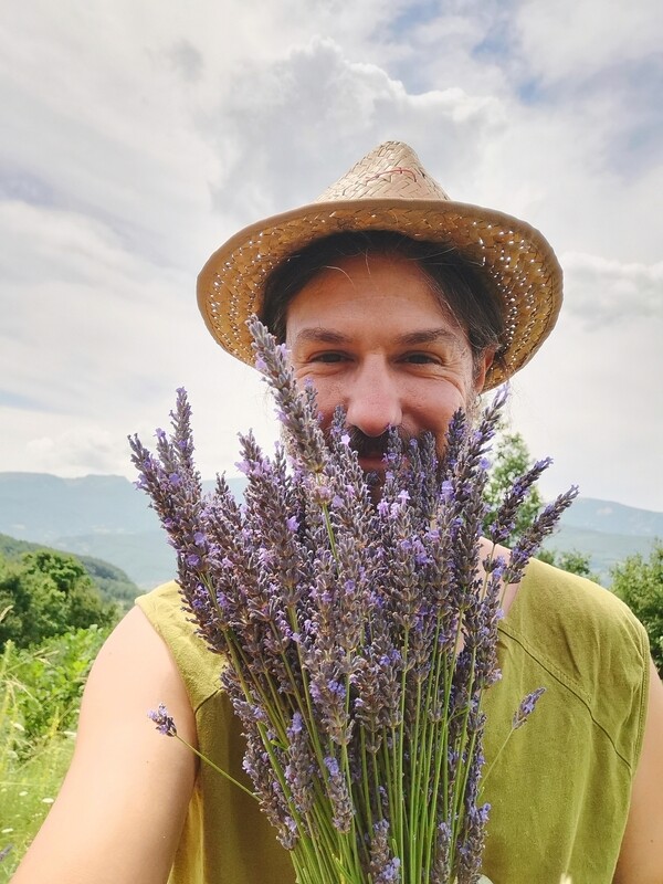 Olio essenziale di lavanda