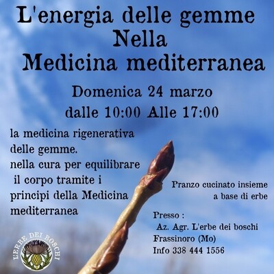 Energia delle gemme Nella Medicina Mediterranea