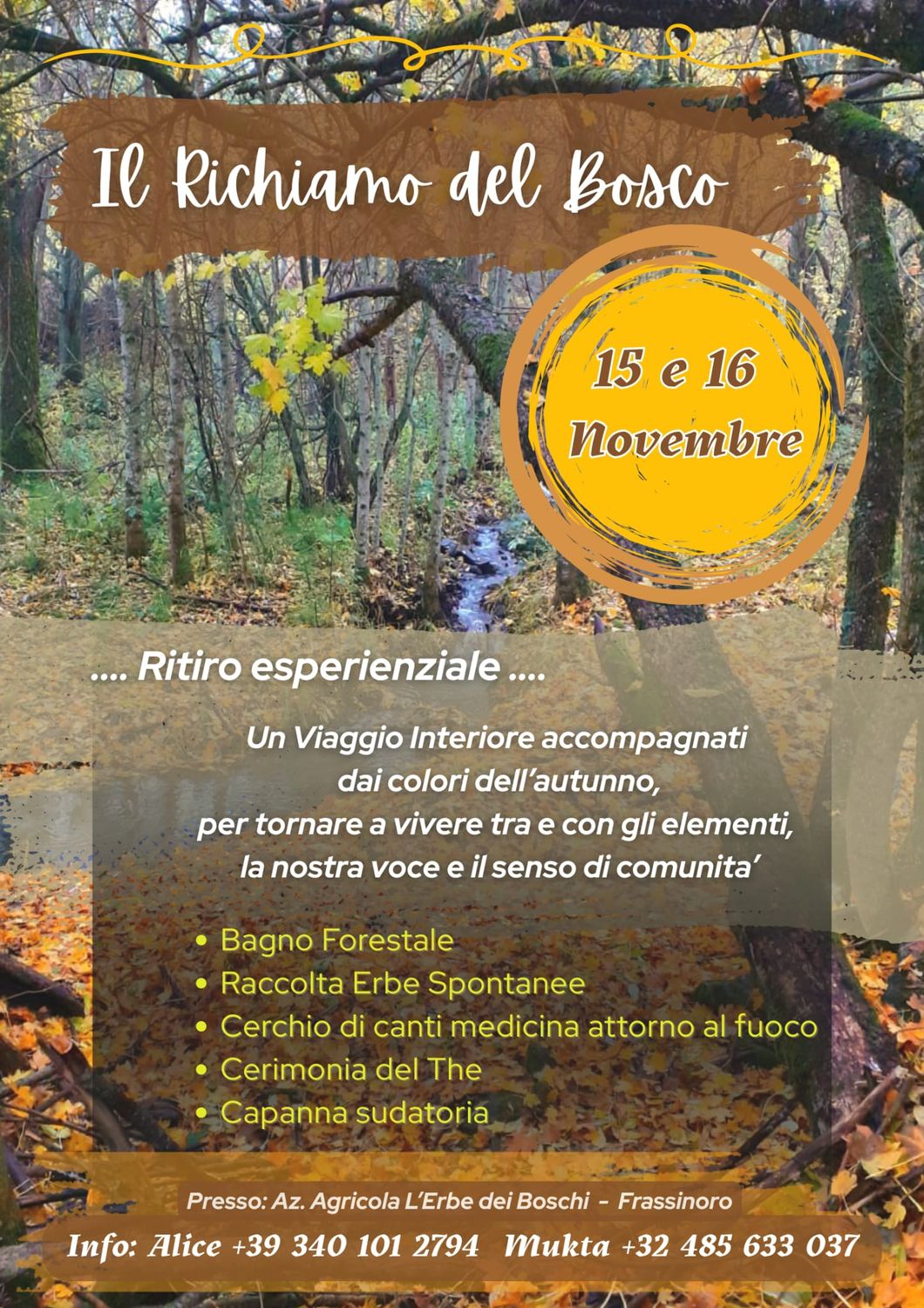 Il richiamo del bosco