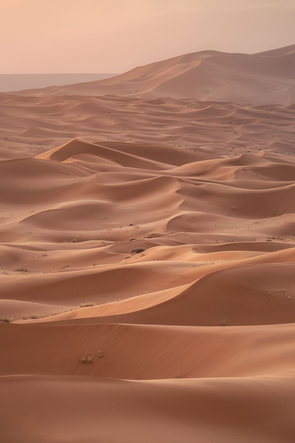 AROMASOUL ARABIAN RITUAL – Rituale - Comfort Zone