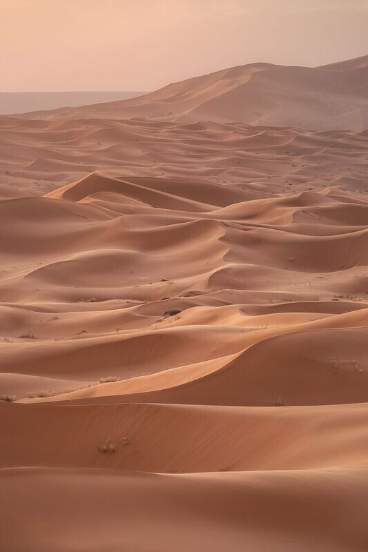 AROMASOUL ARABIAN RITUAL – Rituale - Comfort Zone