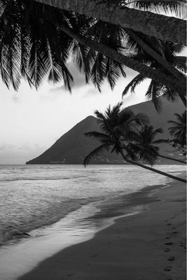 TRANQUILLITY RITUAL  BODY SCRUB - Rituale - Comfort Zone