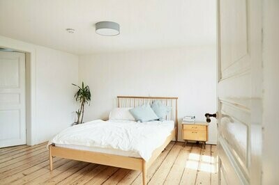 Metal Bed Frames