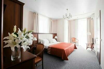 Leather Bed Frames