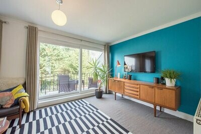 Rugs & Carpet