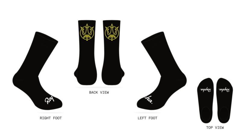 Pro Team Socks
