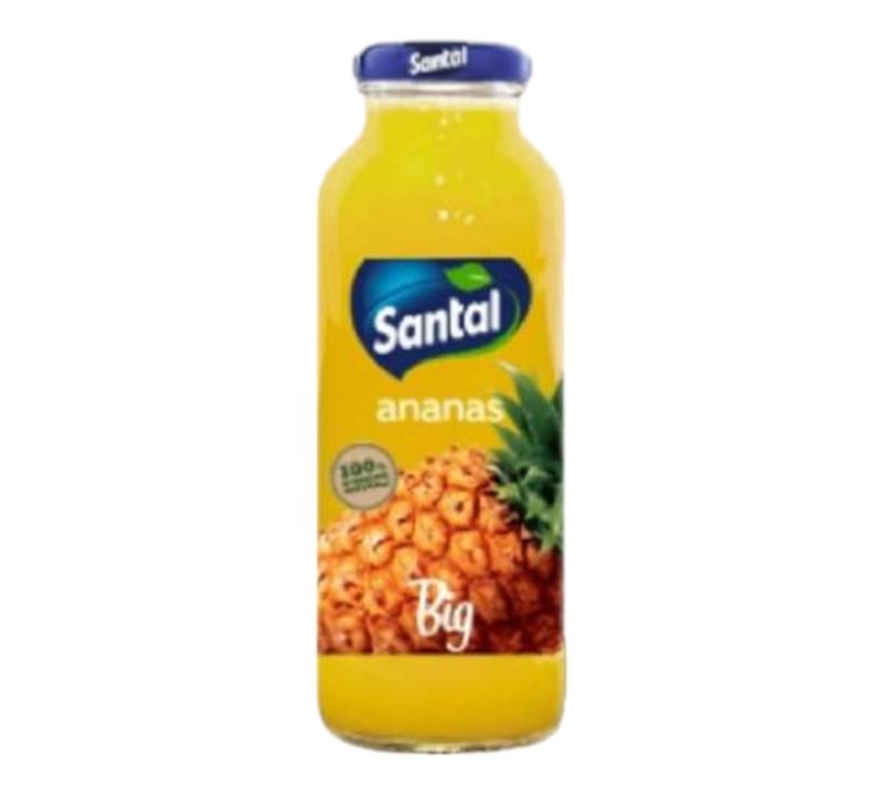 Χυμός Santal Ανανάς 100% Φυσικός 250ml