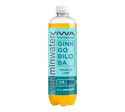VIWA BRAINBOOST Μάνγκο Μοσχολέμονο  600ml