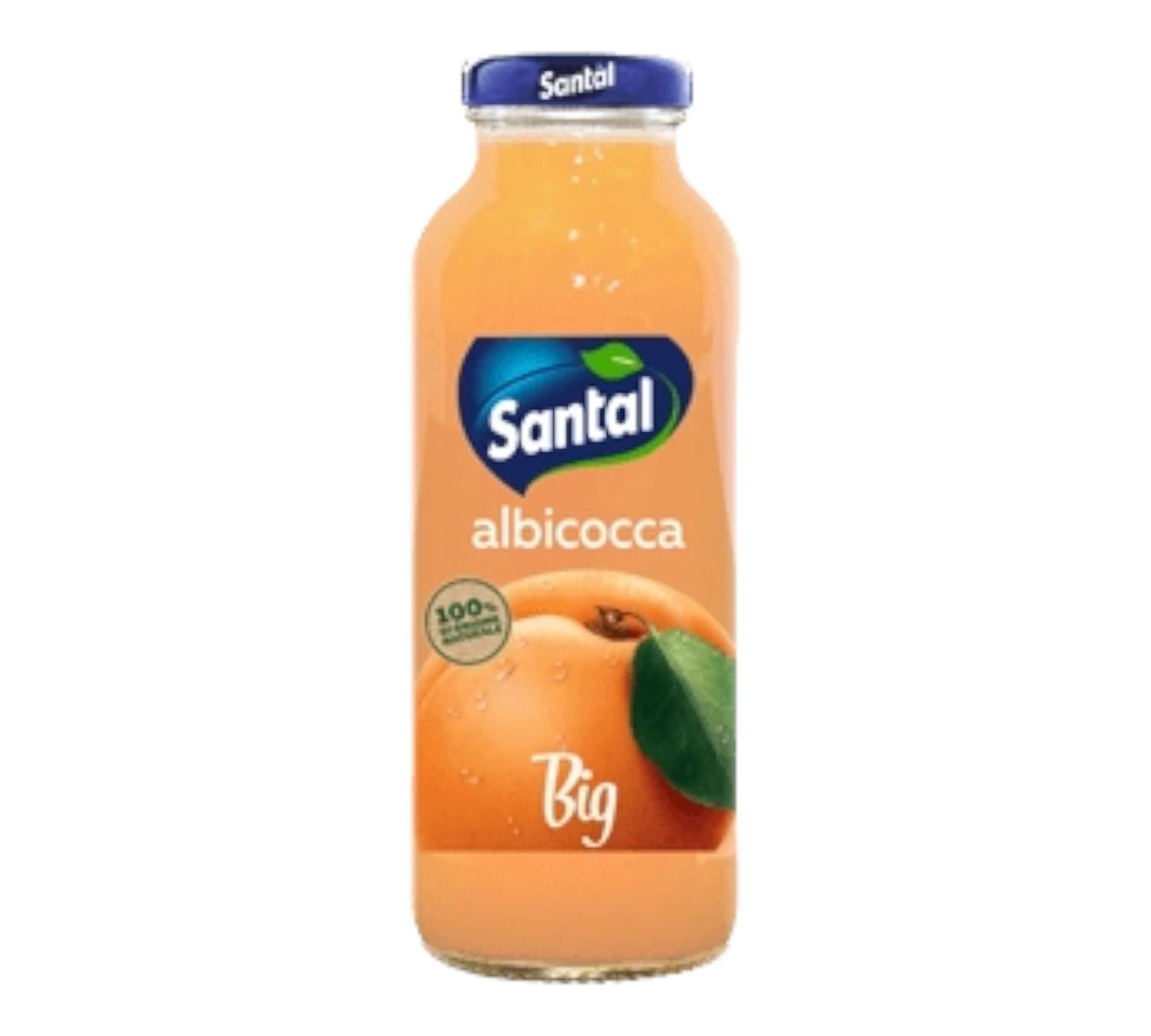 Χυμός Santal Βερίκοκο Big 250ml