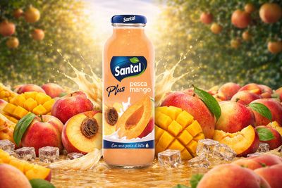 Χυμός Santal Ροδάκινο - Μάνγκο Plus 250ml