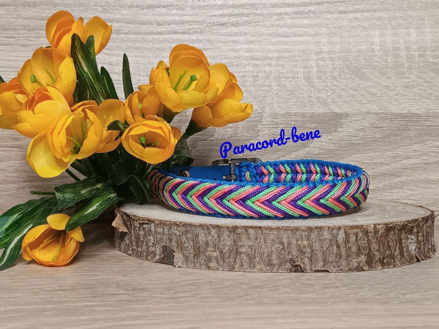 Halsband Graf Zahn, schmal, Halsumfang 34-39cm