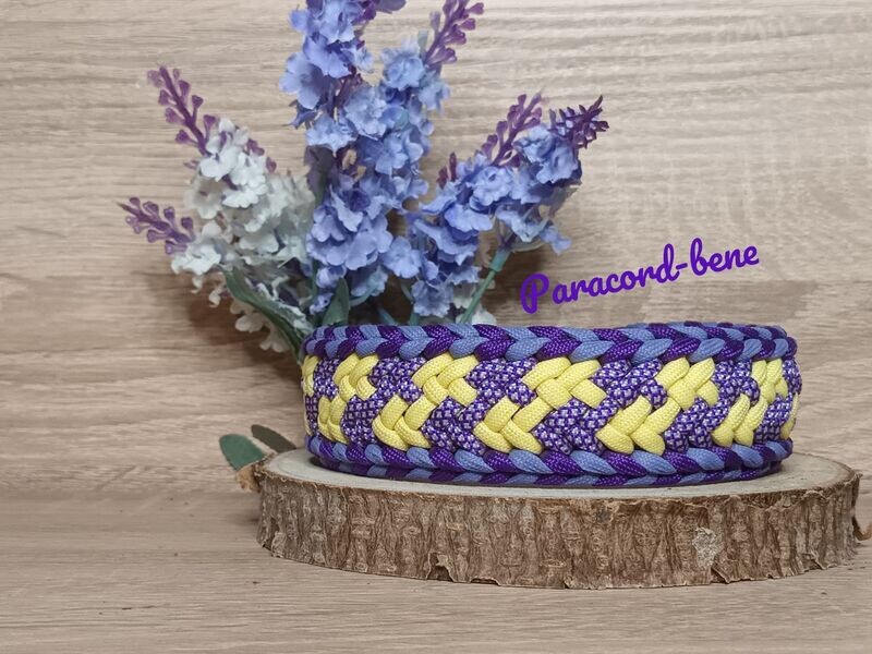 Halsband Mod. Crown, Halsumfang 37cm Halsband Mod. Crown, Halsumfang 37cm