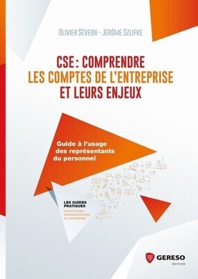 CSE : comprendre les comptes de l'entreprise et leurs enjeux. CSE : comprendre les comptes de l'entreprise et leurs enjeux.