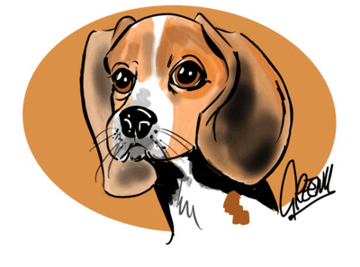 Pet Portrait Drawing-Quick and fun head only
