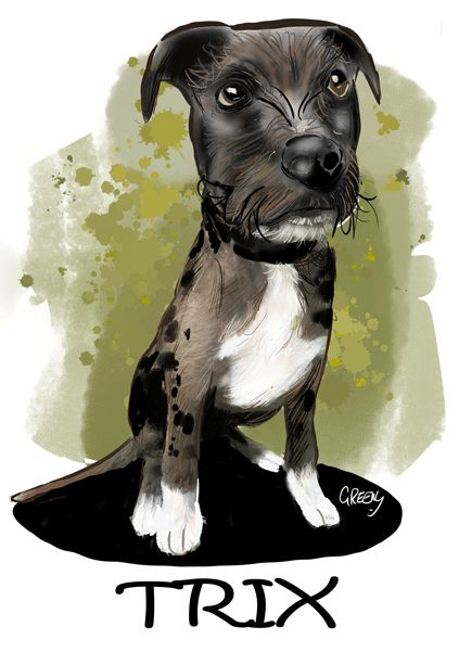 Pet Portraits full body with themes