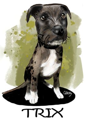 Pet Portraits full body with themes