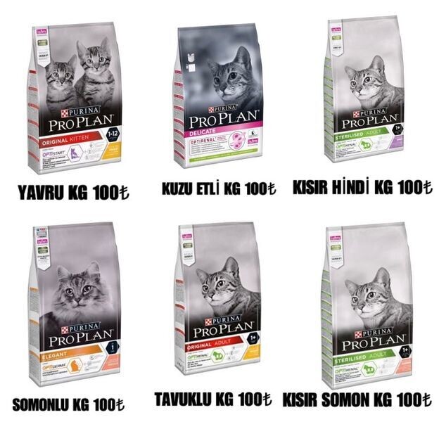 PROPLAN MAMA
