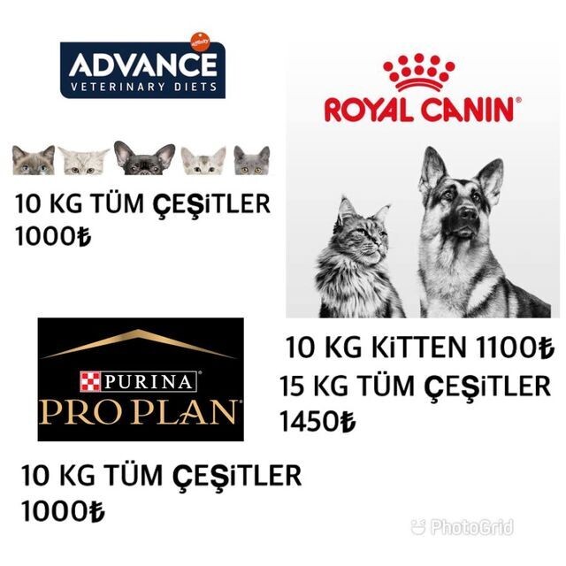 10 KG VE 15 KG lik MAMALAR
