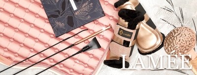 Accessories and Training Aids