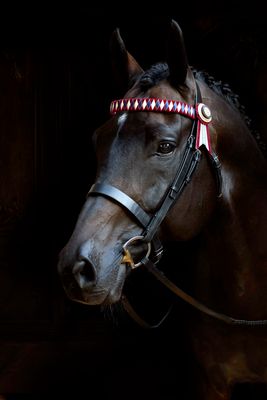 LAMÉE TIMELESS DETAIL HOY PHOTO BOOTH