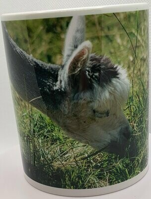 Mug avec un alpaga