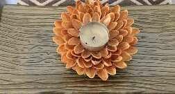 Pista Shell - Diya (B)