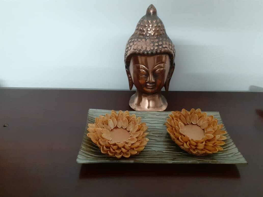 Pista Shell - Diya (S) 
(Per Piece)